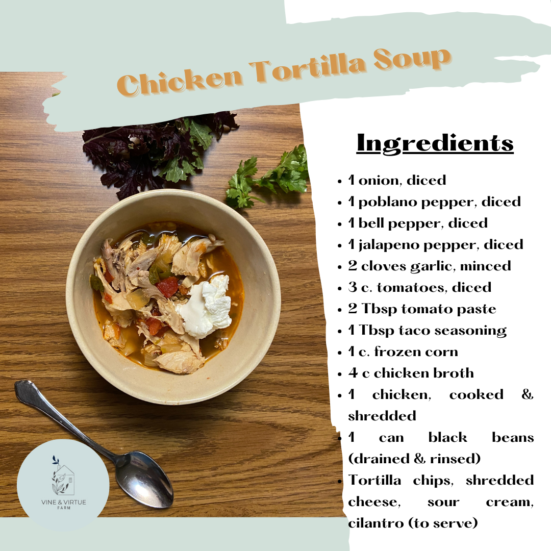 Chicken Tortilla Souppng