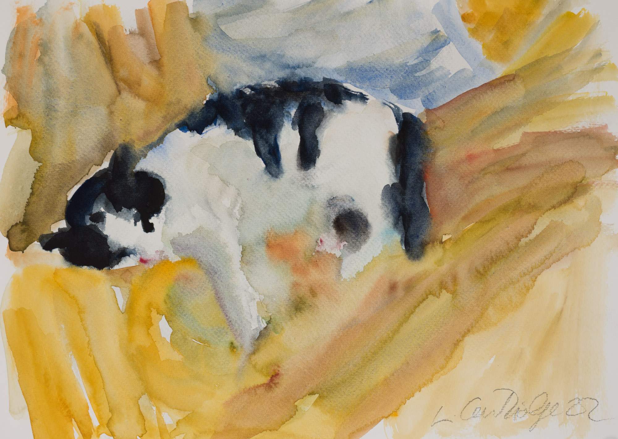 Water Colour: Cat Study (2022-306)