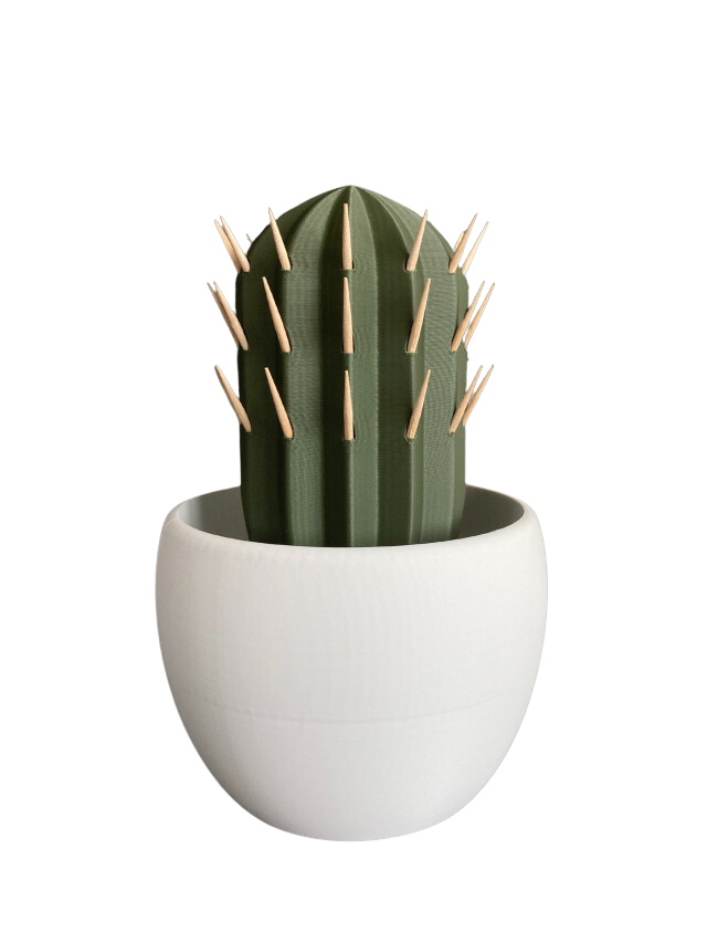 Cactus tandenstoker houder