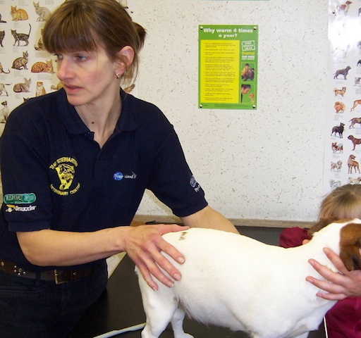 Helen Bell BVMS MRCVS the Stewartry Veterinary Centre in Castle Douglas