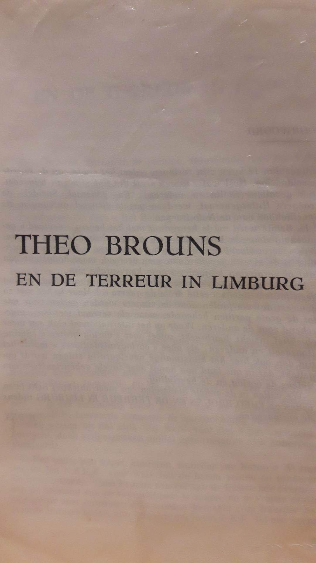 Repressie brochure Limburg - Theo Brouns e de terreur in Limburg / Karel Dillen - 23 blz