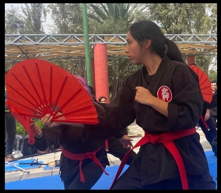 Artes marciales japonesas de tradicion Ninja y Samurai Ninjutsu  8jpg