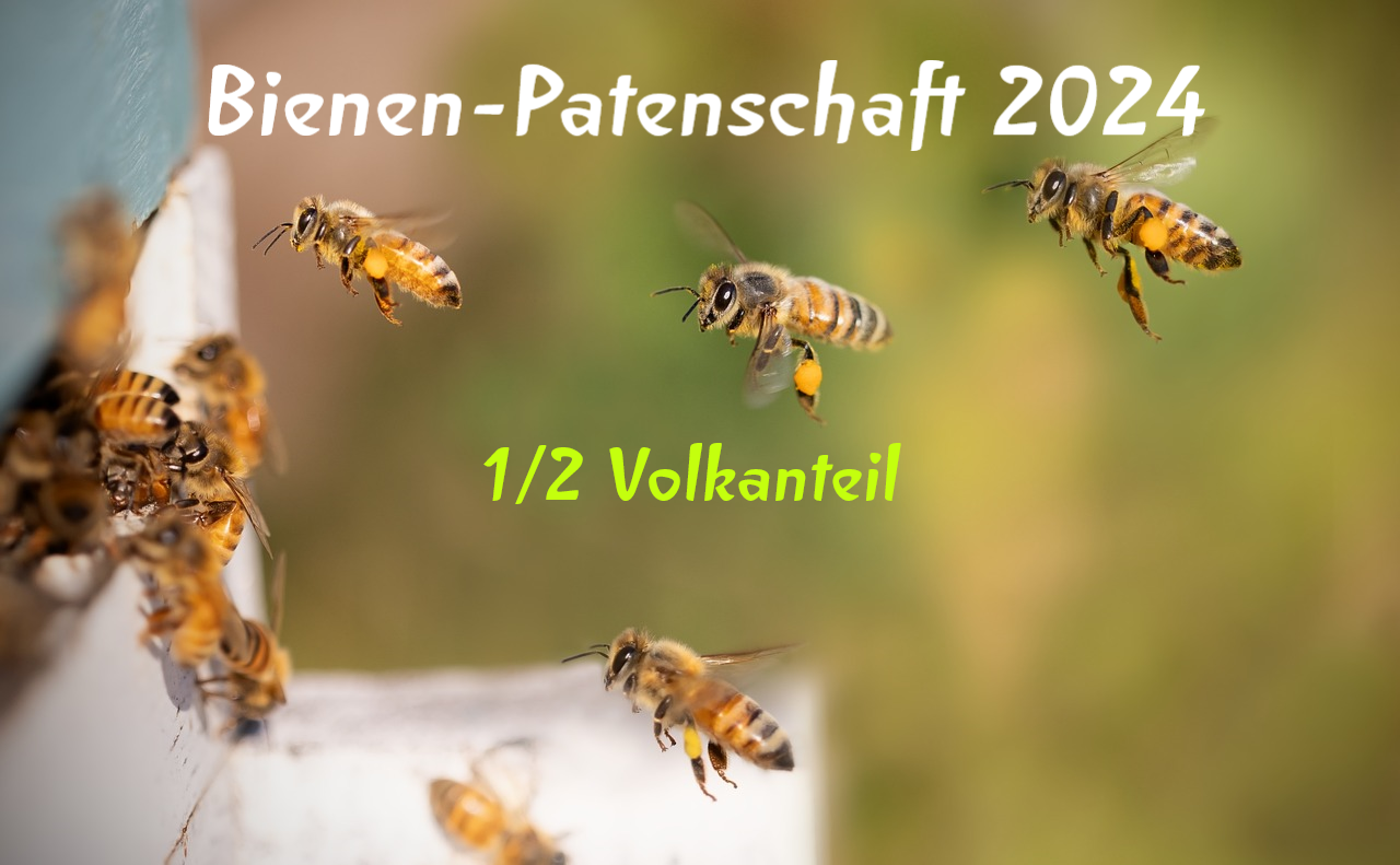 Bienen-Patenschaft 2024 - 1/2 Volkanteil