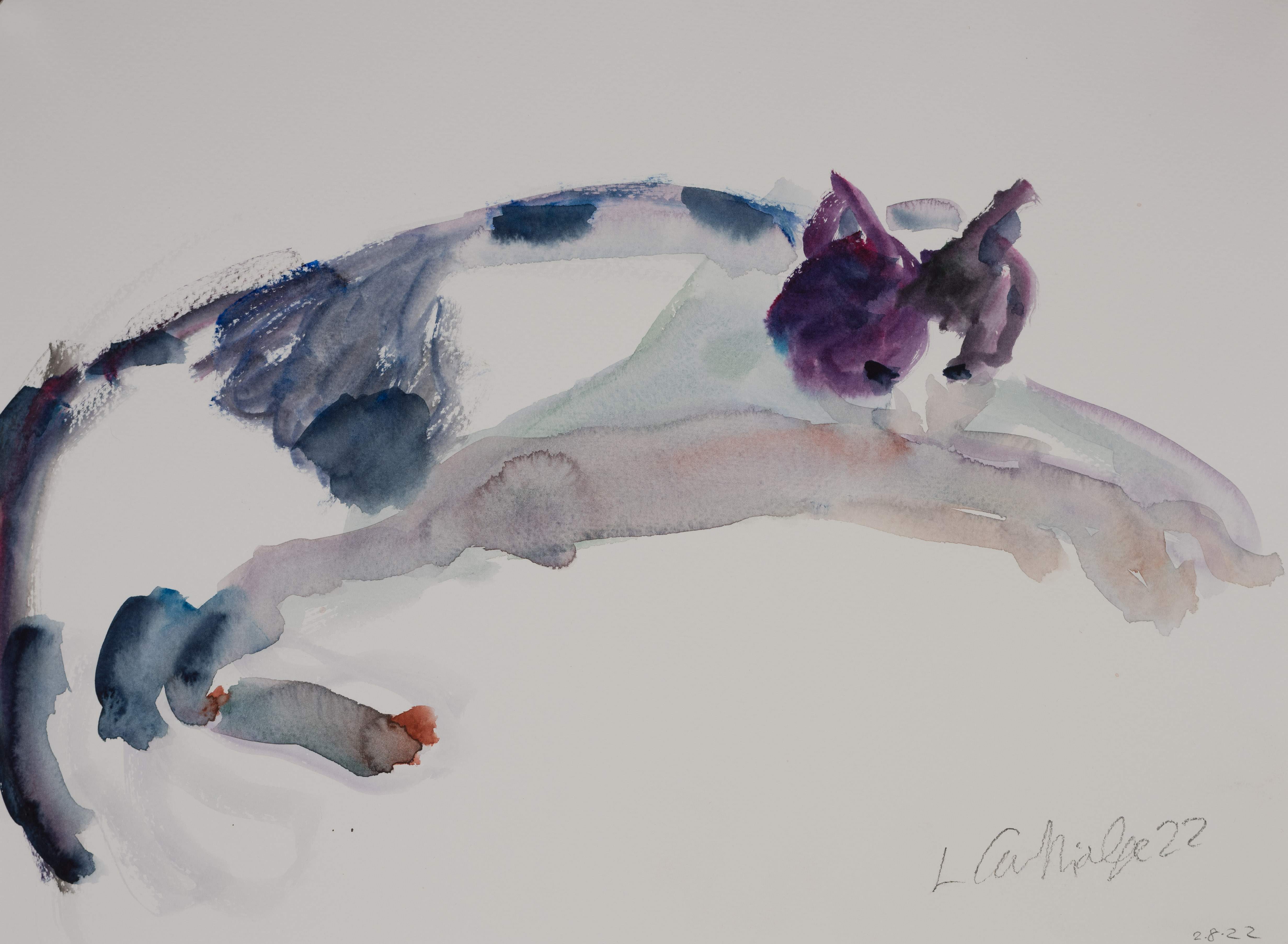 Water Colour: Cat Study (2022-316)