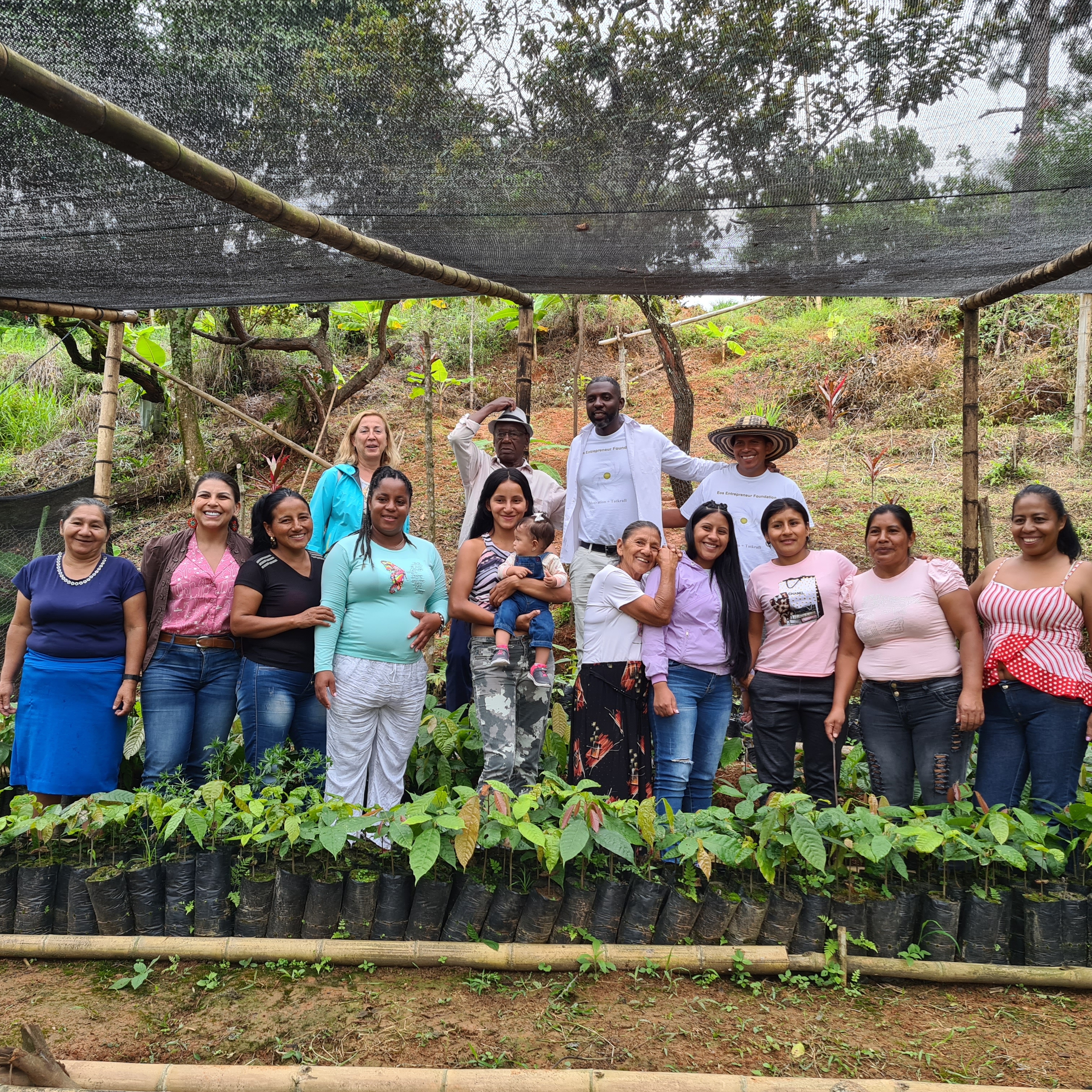 Iniciativas de Grupos de Mujeres - Viveros - Plántulas de Cacao