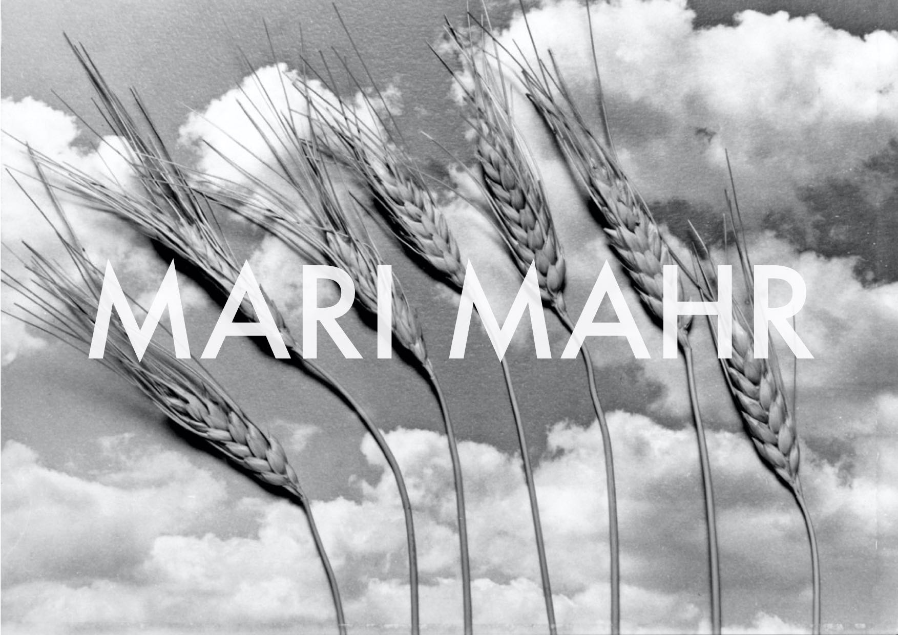 MARI MAHR 'WORDS, WORDS, WORDS..'