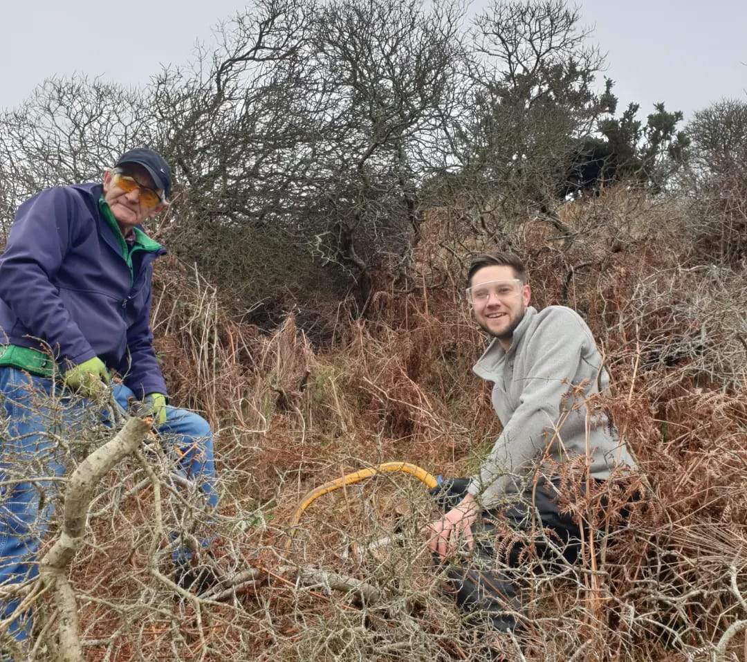 Sea buckthorn clearing in Brittas Bay and more