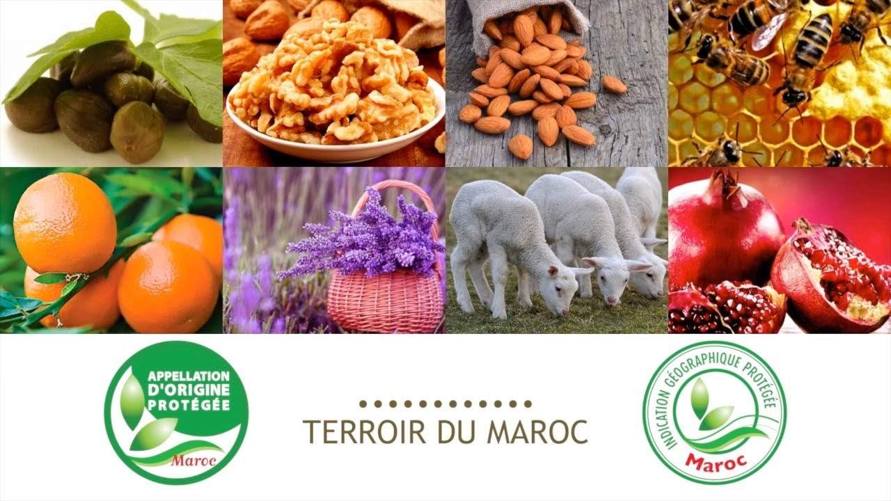 علامة الجودة الفلاحية البيان الجغرافي المحمي تسمية المنشأ المحمي المغرب  الرمز الجماعي TERROIR AU MAROC