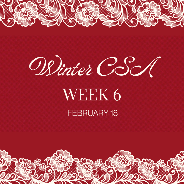 Winter CSA Week 6
