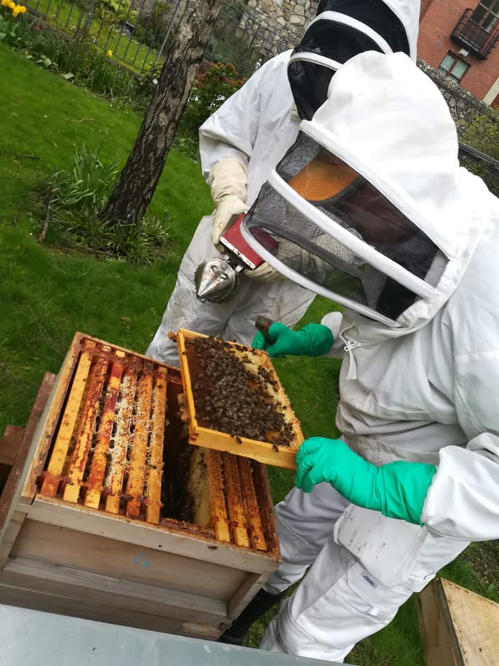 Inner City Beekeeping Project