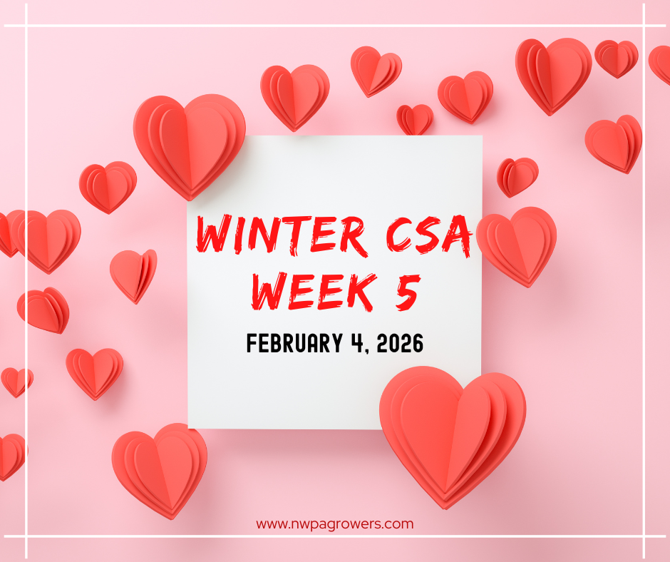 Winter CSA Week 5