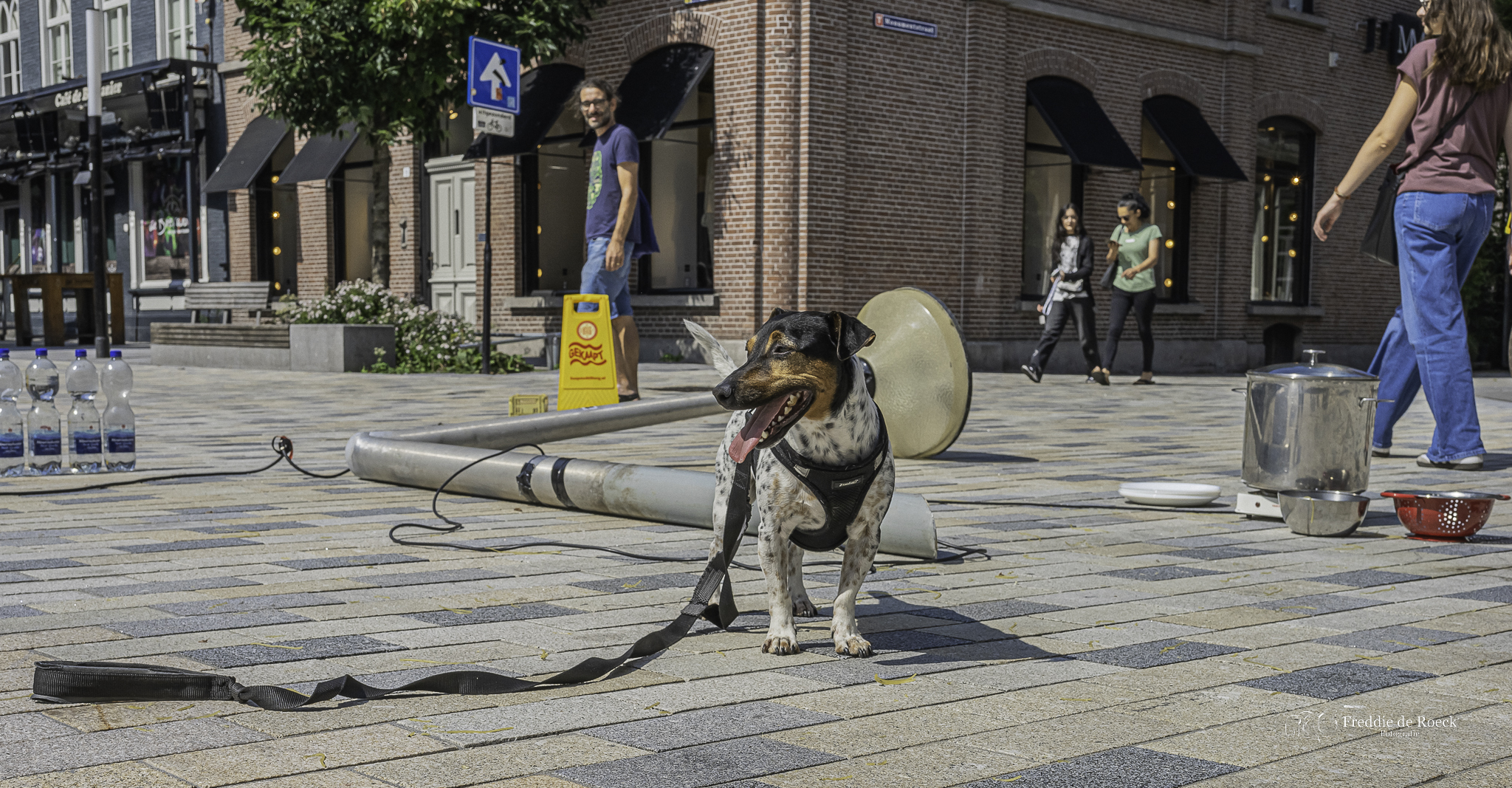  Kaapstad _ Tilburg   _  Foto _ Freddie de Roeck _  17 Aug 2024 _ -16jpg