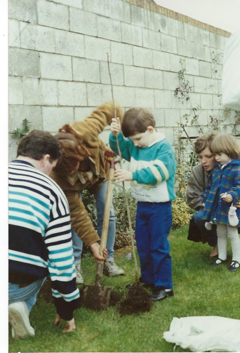 Looking back - Planting a stick in 1988