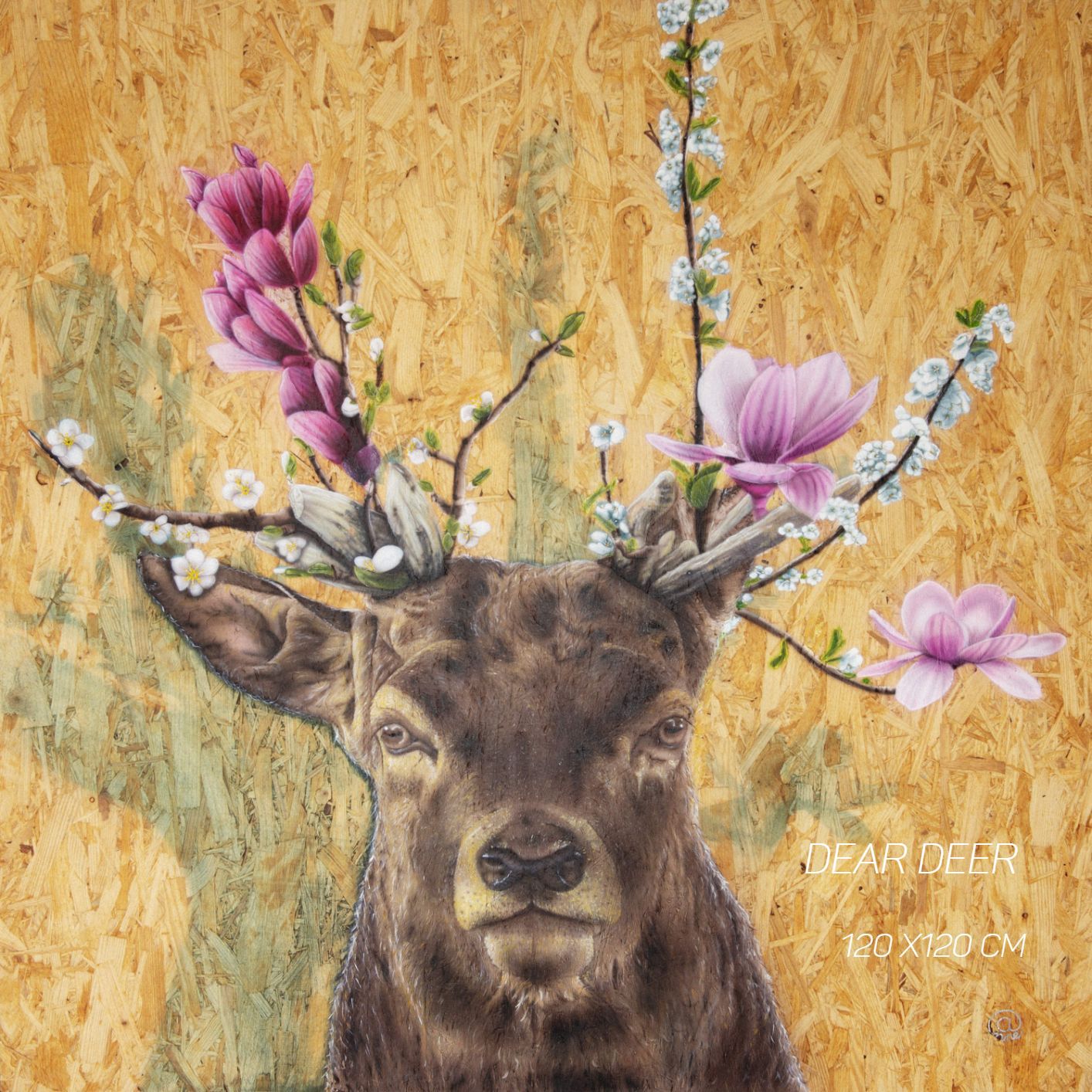 It's Spring Dear Deer