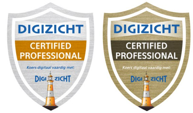 Certified Professional silver and goldjpg