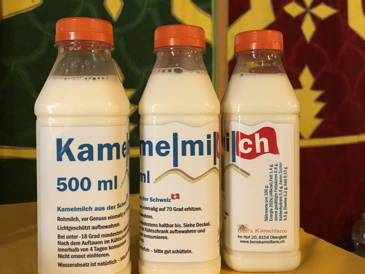 Kamelmilch kaufen