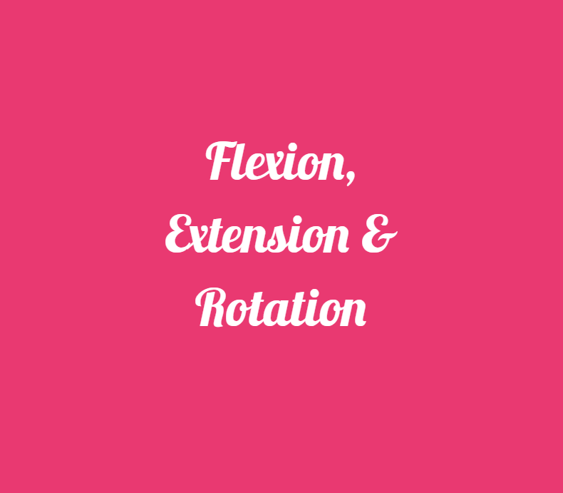 Flexion, Extension & Rotation