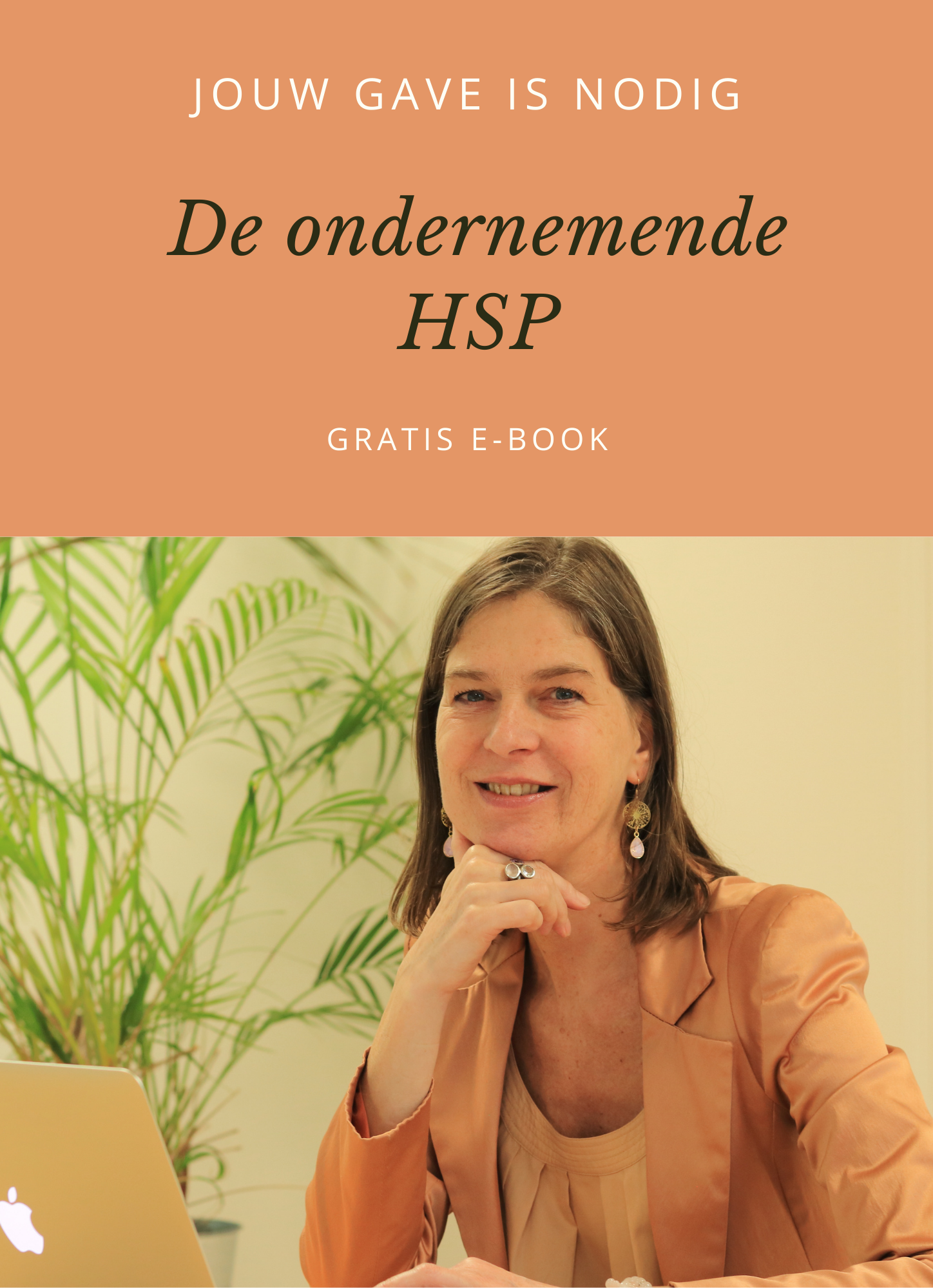 HSP en werk boek