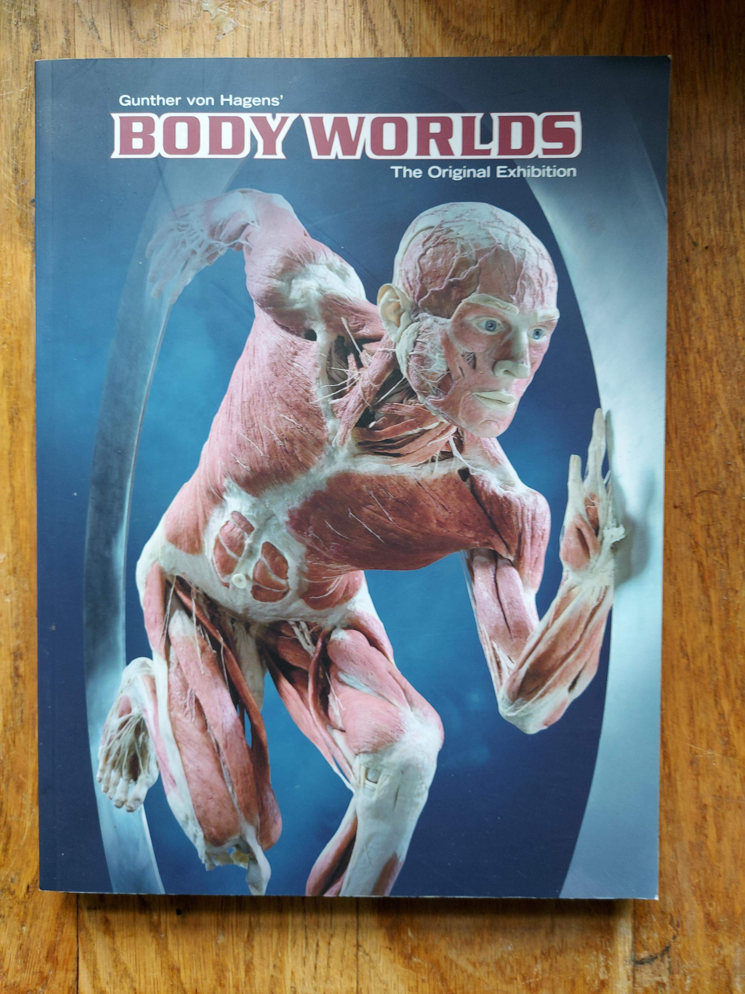 Body Worlds ''The Original Exhibition''