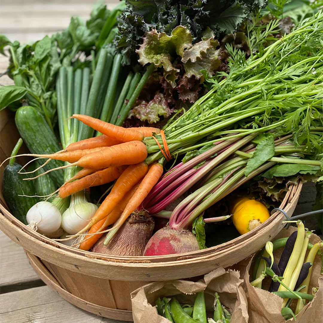 A wood basket filled with a colourful variety of organic vegetables including carrots, spring onions, snap peas and zucchini