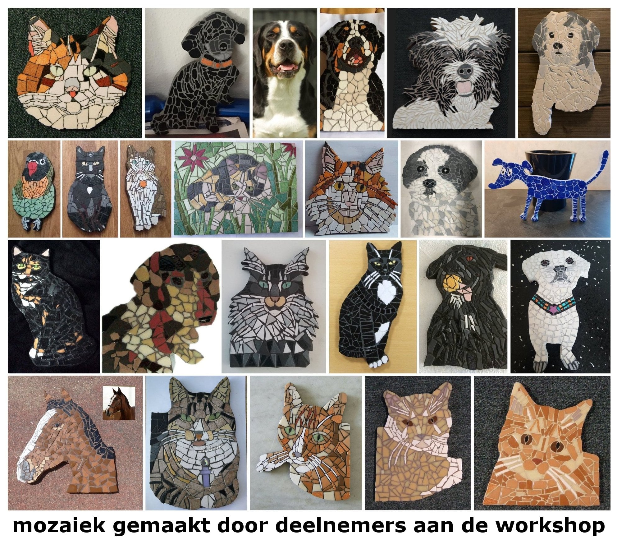 Mozaiekdieren gemaakt door deelnemers aan de workshop dierenmozaiek.