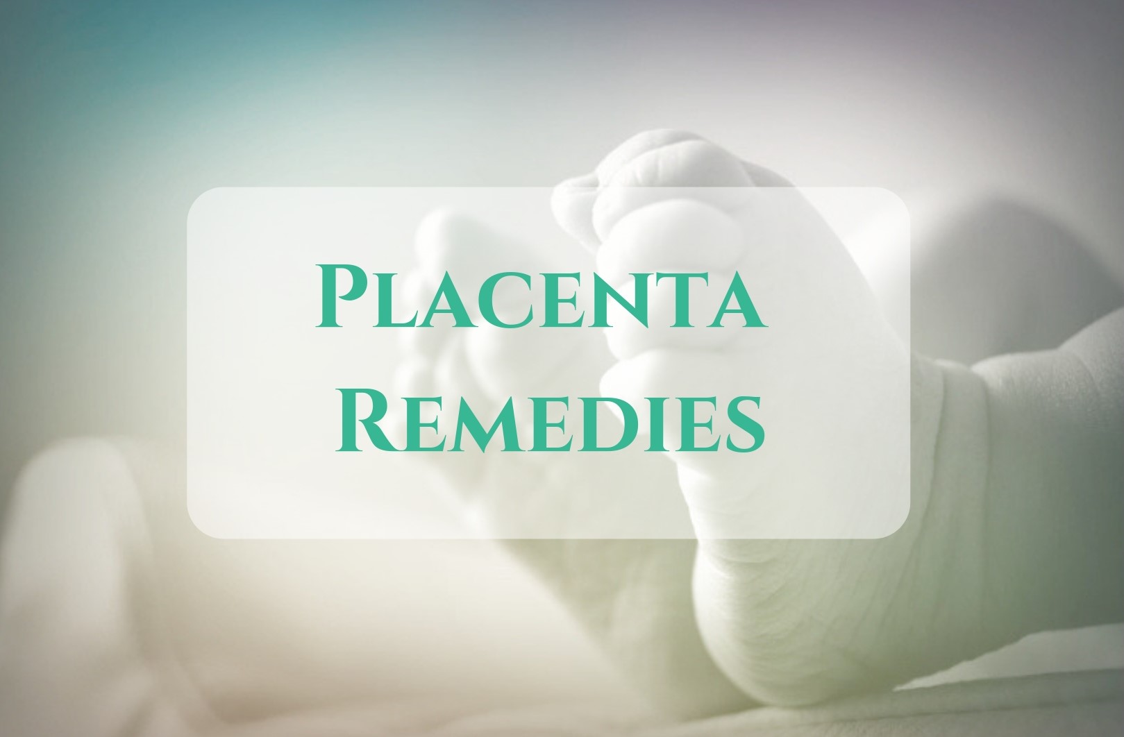 Placenta Encapsulation Remedies available with Mo Chuisle Midland Regional Hospital, Portlaoise