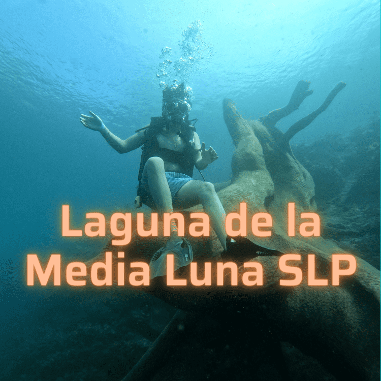 Bucea en Laguna de la Media Luna