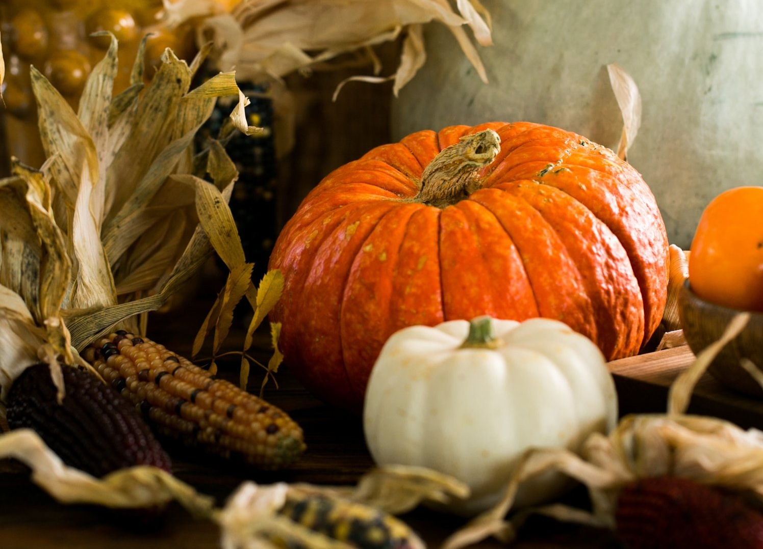 Fall Harvest Bowl