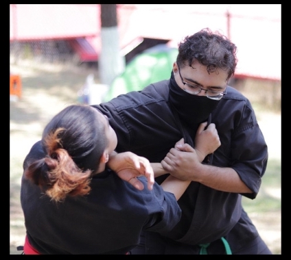 Artes marciales japonesas de tradicion Ninja y Samurai Ninjutsu  7jpg