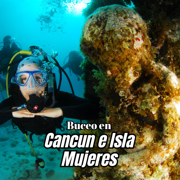 Buceo en Cancun, Buceo en Isla Mujeres, Buceo en el MUSA