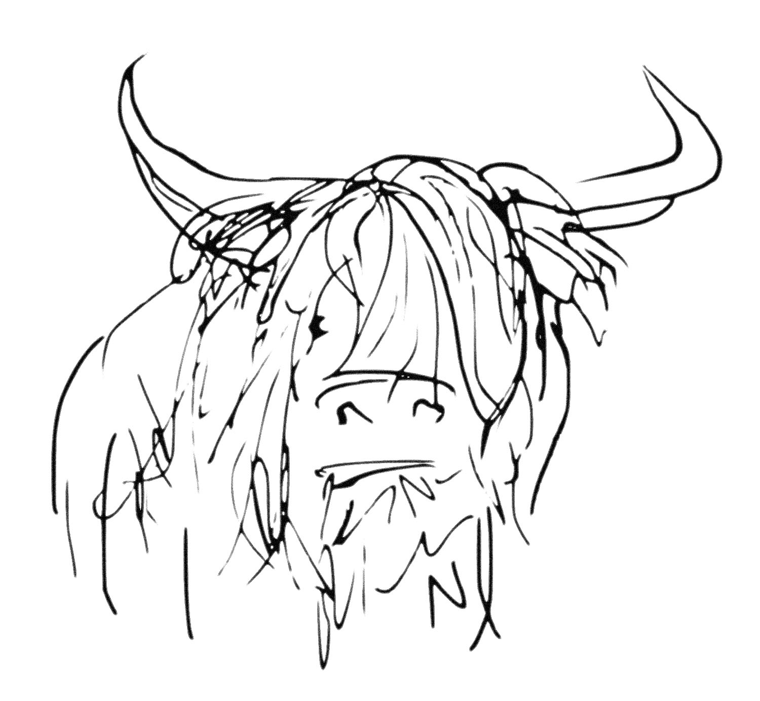 lijntekening-stoere-schotse-hooglander-mediumjpg
