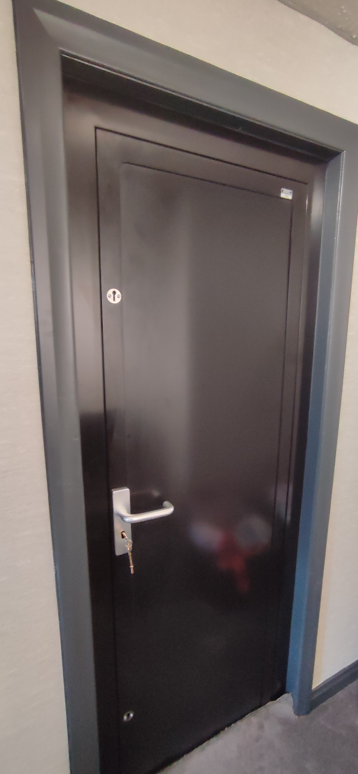 Techniko solid security steel door