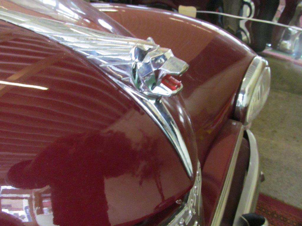 IMG_0032 - Kopiejpg