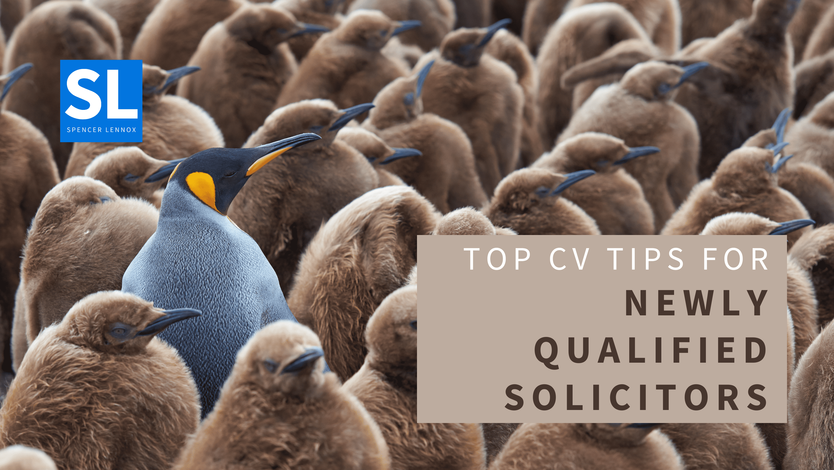 Top CV Tips for Newly Qualified Solicitors