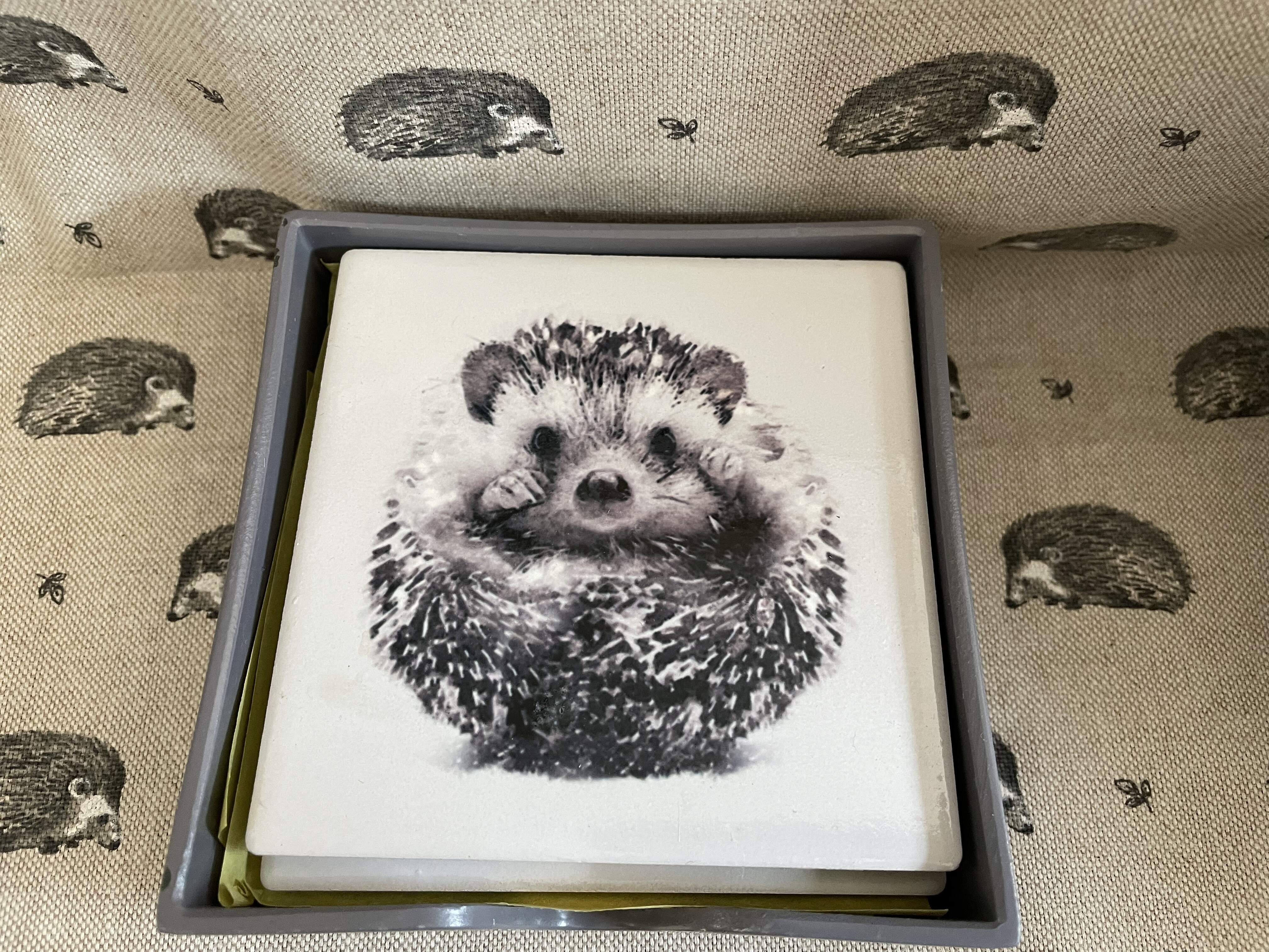 Set of 4 Ceramic Hedgehog Coasters