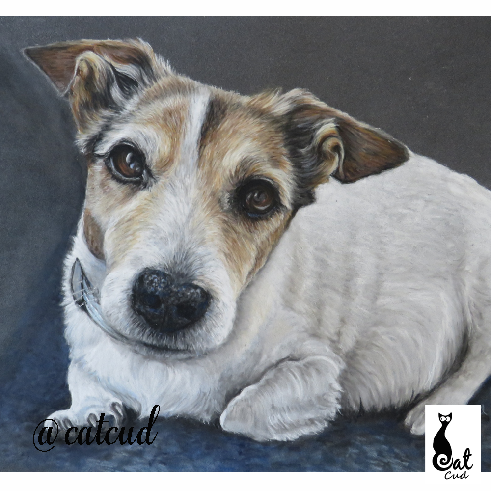 30 x40cm Pastel Portrait