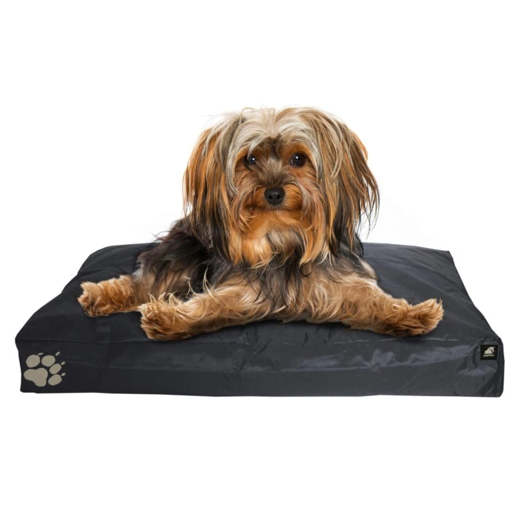 The TRIXIE product range for dogs offers the right product for everydog.