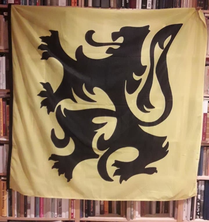 Grote kwaliteits leeuwenvlag 150 x 150 cm (geen  uitdeel vlagje uit china )