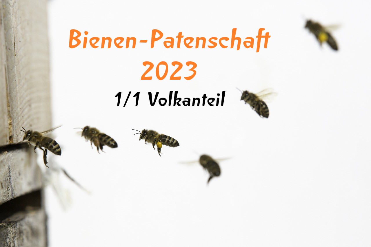 Bienen-Patenschaft 2023 - 1/1 Volkanteil