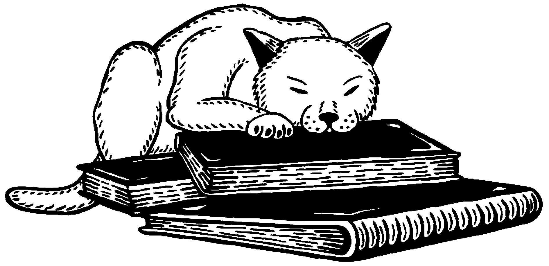 Puss In Books Illustration - Jenny Bommert