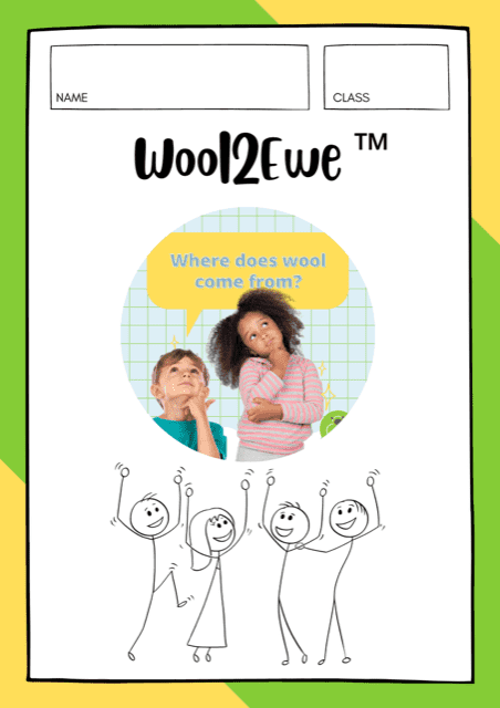 Wool2EWE™ wool education in a box Silver