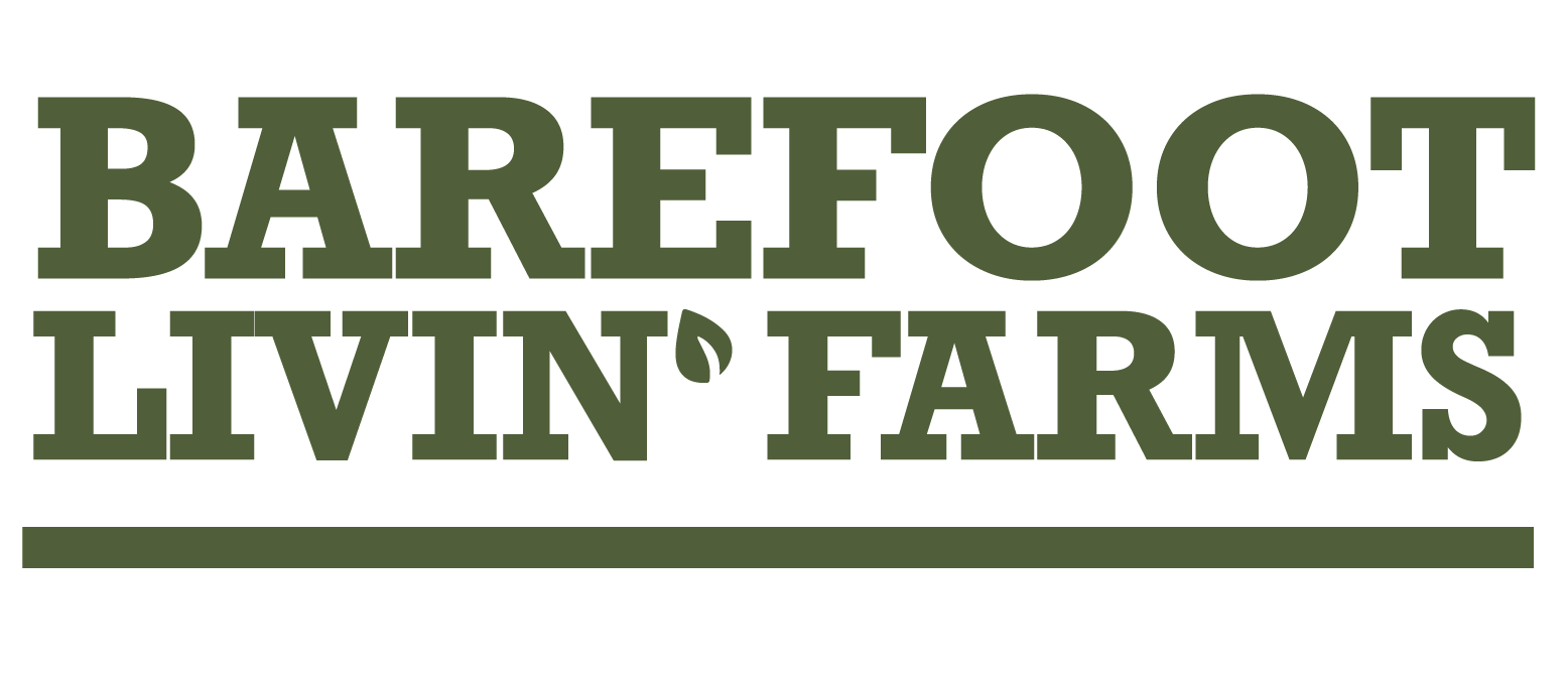 Never Mind The Chill, St. Helena's Barefoot Farmer Is Still Planting Australia