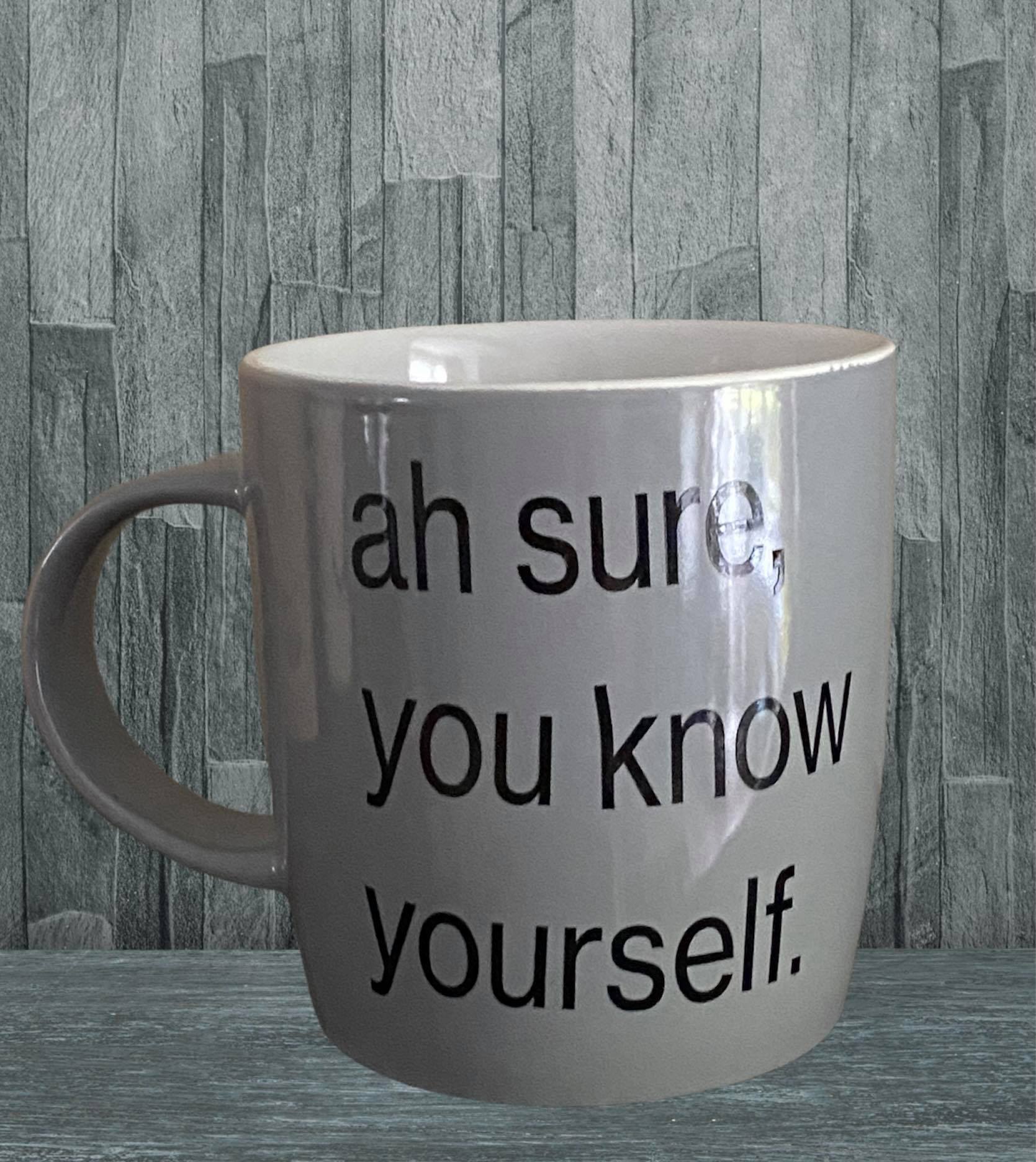 "ah sure you know yourself" Mug