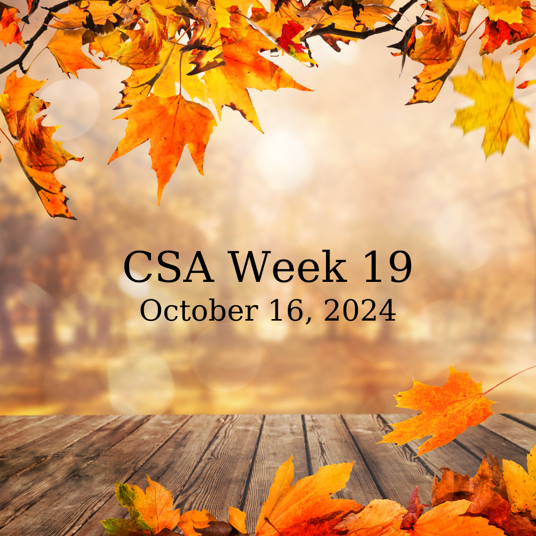 2024 CSA Week 19