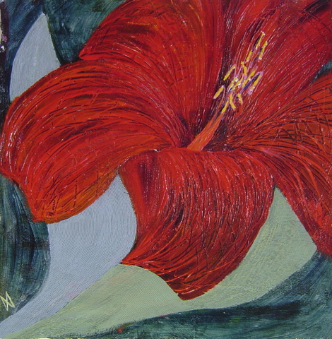 A flower portrait amaryllis