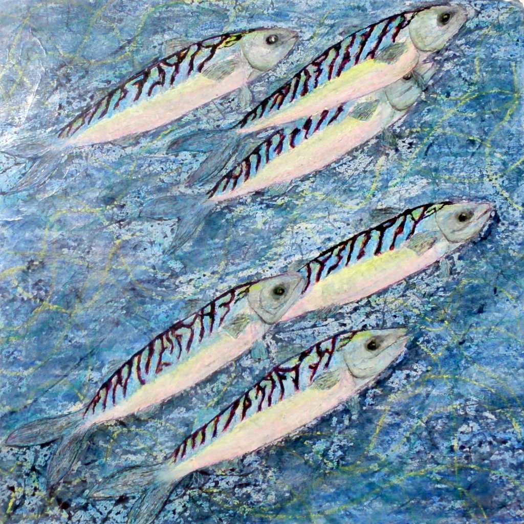 Dollar Bay Mackerel I. A shoal of mackerel.