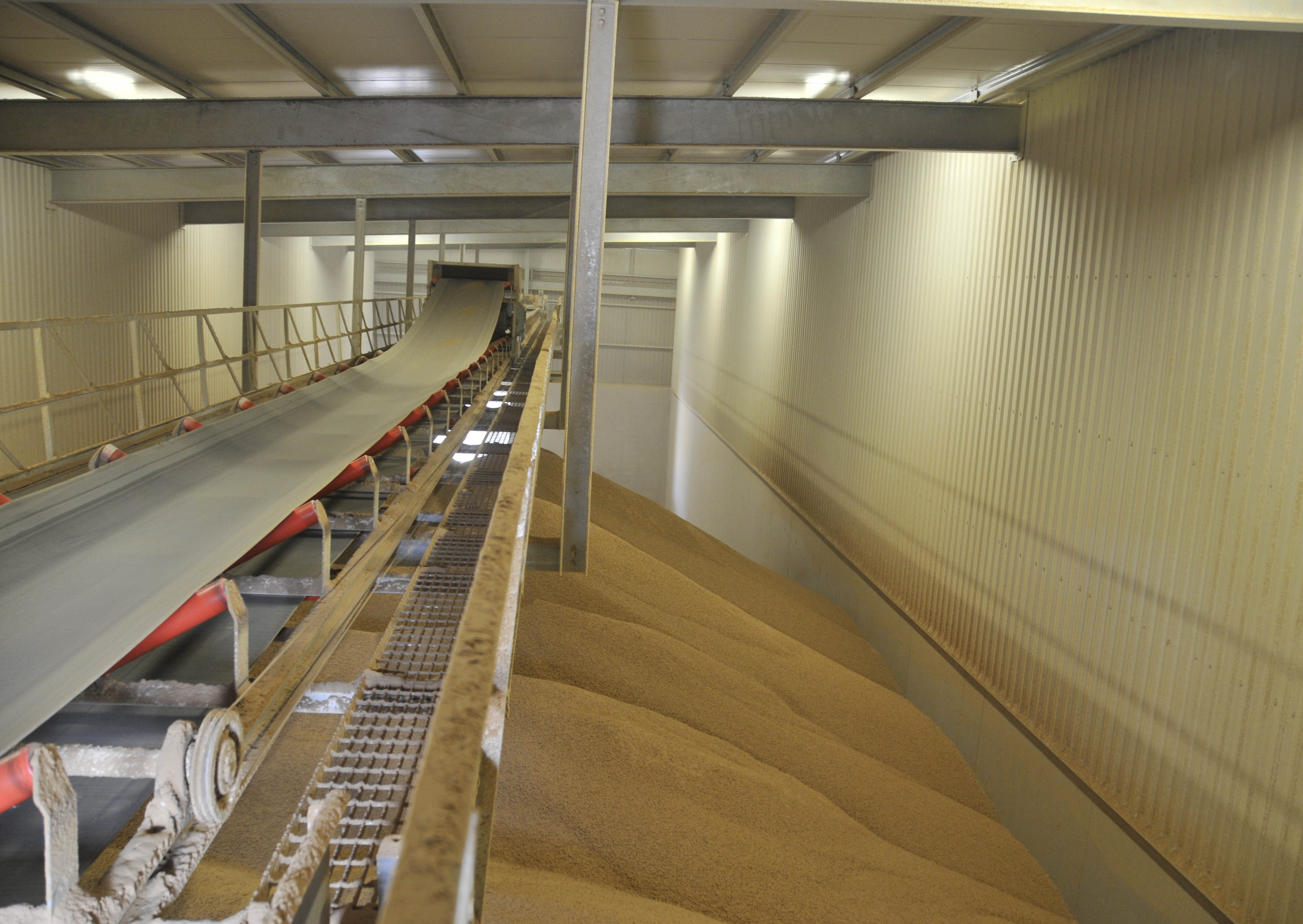 Grain Conveyors