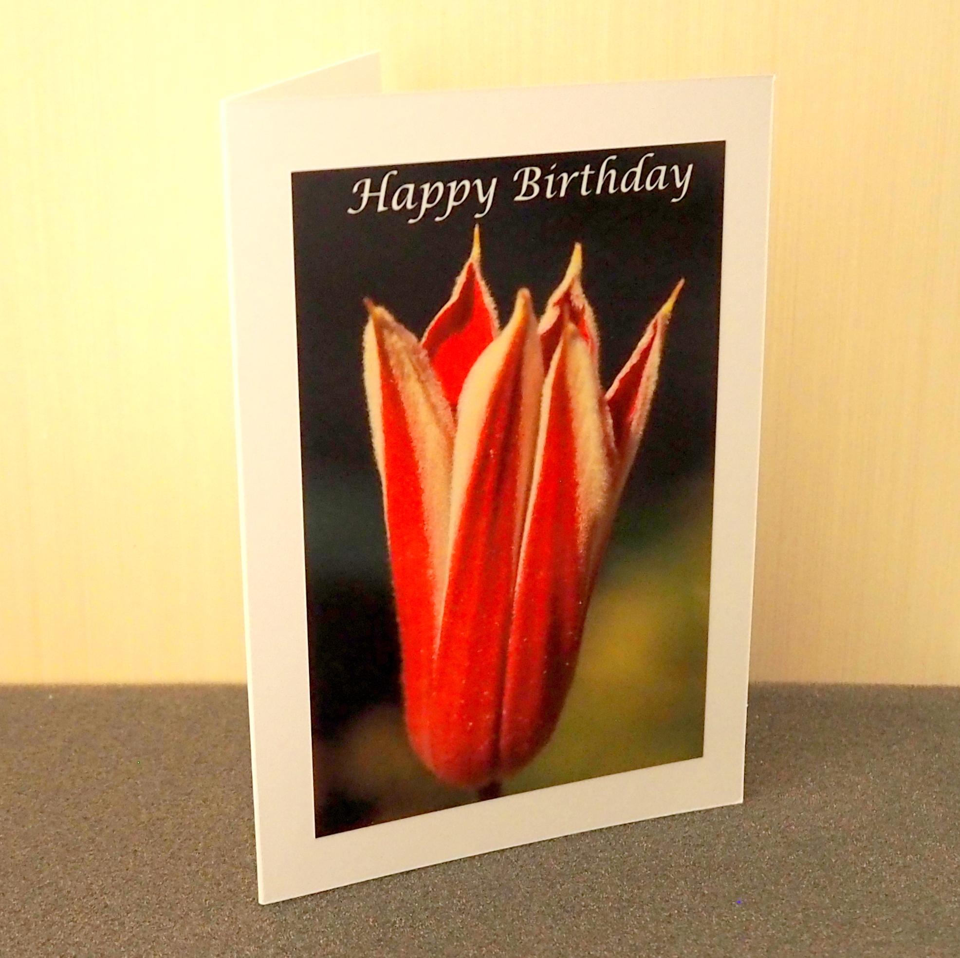 Birthday Greetings Card Collection