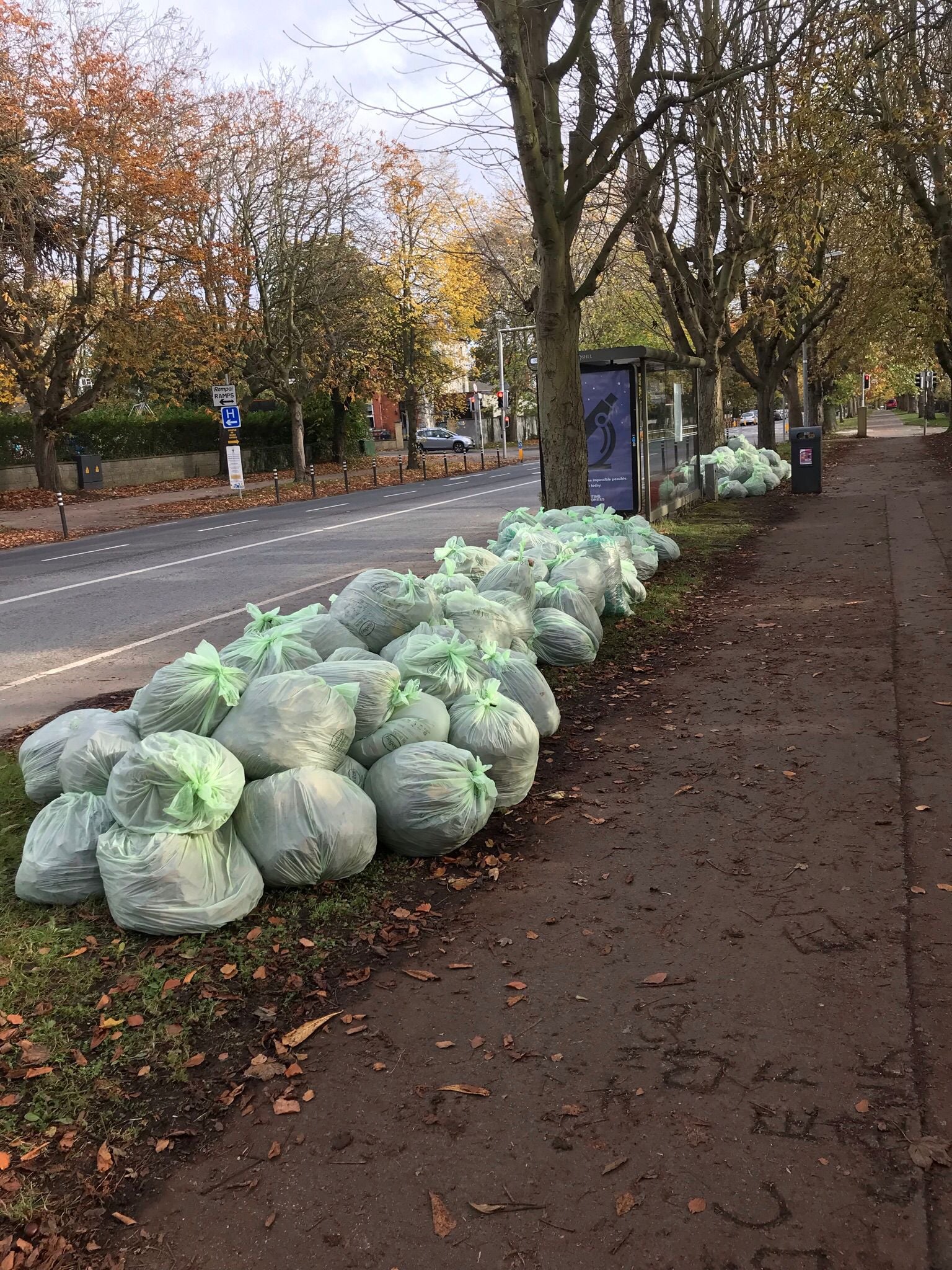 Thank you - Community Leaf Collection