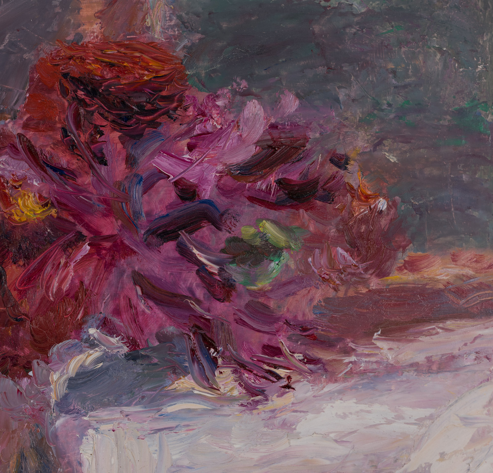 Dahlias in Light from a Window